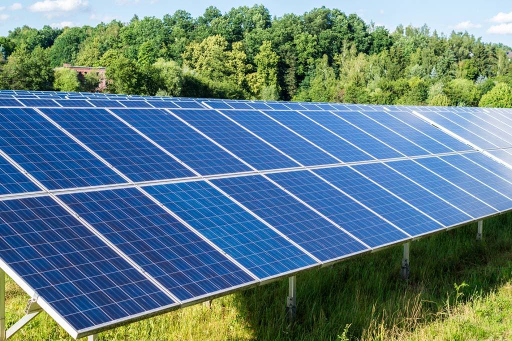 Tondre et mulcher les parcs solaires efficacement avec AS-Motor