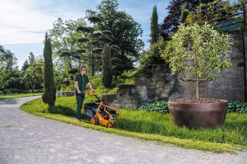 Scheppach Tondeuse à gazon à essence PML53-225S