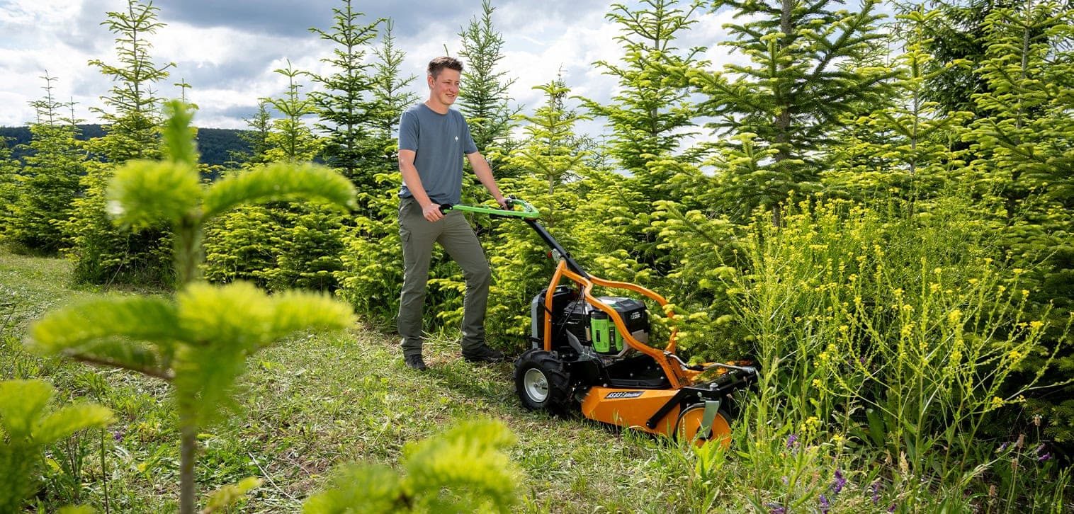AS-Motor AS 63 E-Allmäher mulches tall grass at a christmas tree farm